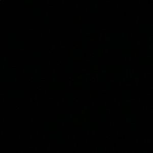 Meet your Posher, Samuel